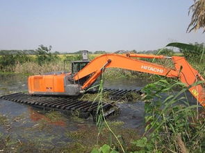 河南省洛陽(yáng)市工程機(jī)械設(shè)備出租 聚焦水陸挖機(jī)租賃，賦能建筑工程發(fā)展